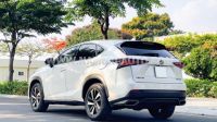 Xe Lexus NX 300 2019