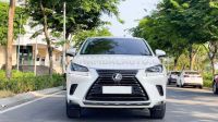 Xe Lexus NX 300 2019