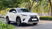 Xe Lexus NX 300 2019