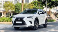 Xe Lexus NX 300 2019