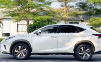 Xe Lexus NX 300 2019