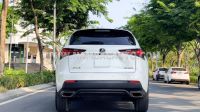 Xe Lexus NX 300 2019
