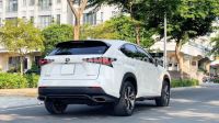 Xe Lexus NX 300 2019