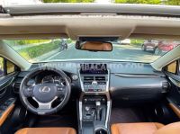 Xe Lexus NX 300 2019