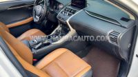 Xe Lexus NX 300 2019