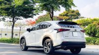 Xe Lexus NX 300 2019