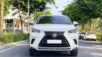 Xe Lexus NX 300 2019
