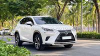 Xe Lexus NX 300 2019