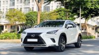 Xe Lexus NX 300 2019