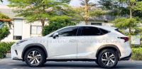 Xe Lexus NX 300 2019