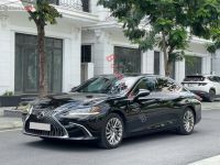 Xe Lexus ES 250 2019