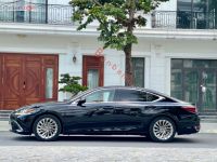 Xe Lexus ES 250 2019