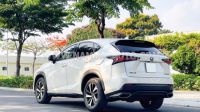 Xe Lexus NX 300 2019