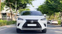 Xe Lexus NX 300 2019