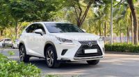 Xe Lexus NX 300 2019