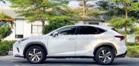 Xe Lexus NX 300 2019