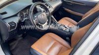 Xe Lexus NX 300 2019
