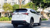 Xe Lexus NX 300 2019