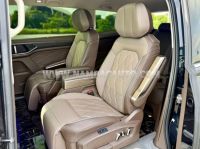 Xe Volkswagen Viloran Luxury 2024